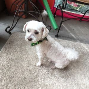 Meet your Posher, Carolyn